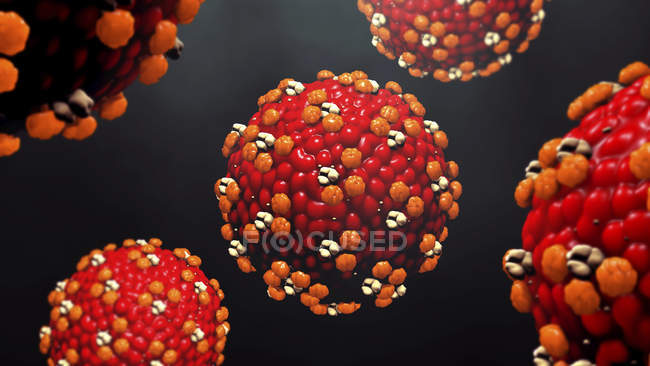 Partículas de vírus do sarampo, ilustração digital
. — Fotografia de Stock