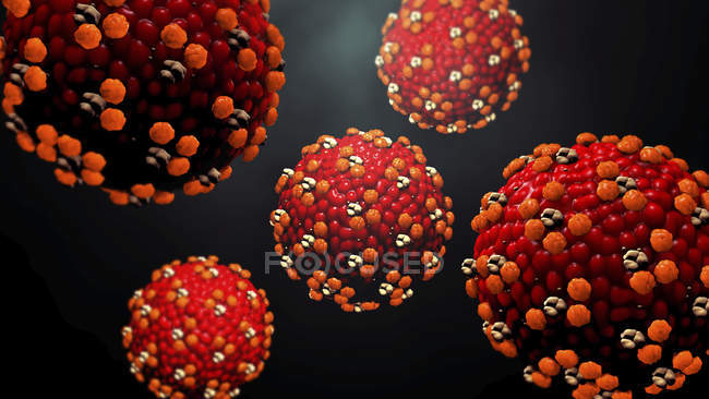 Particules de virus de la rougeole, illustration numérique
. — Photo de stock