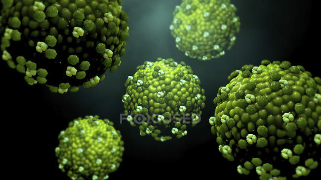 Morbillo particelle virali germoglianti dalle cellule, illustrazione digitale . — Foto stock