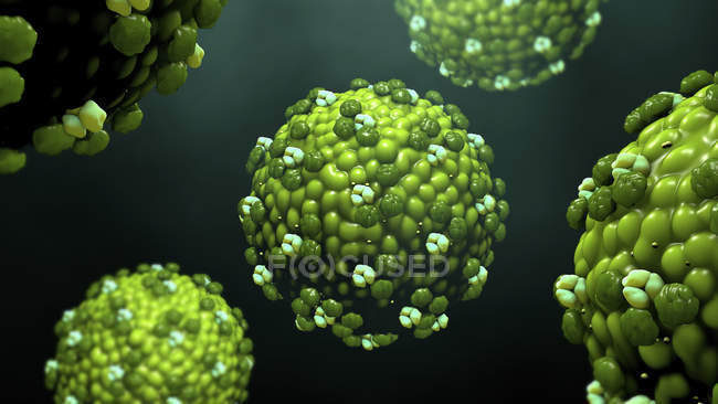 Корь вирусные частицы, возникающие из клеток, цифровая иллюстрация
. — стоковое фото