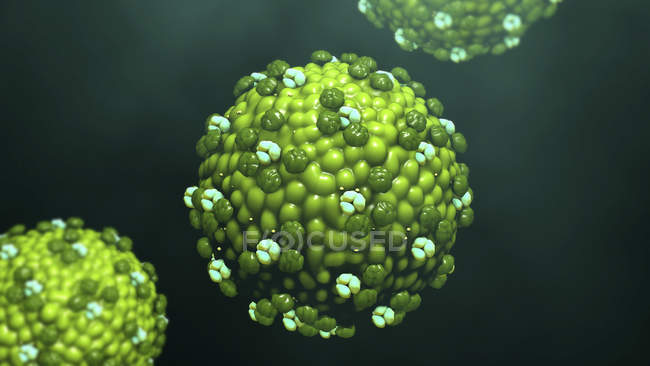 Partículas de vírus do sarampo brotando de células, ilustração digital . — Fotografia de Stock