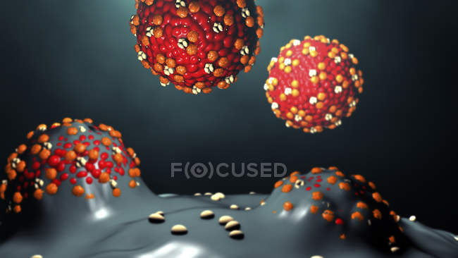 Частинки вірусу, що відроджуються з клітин, цифрові ілюстрації. — стокове фото