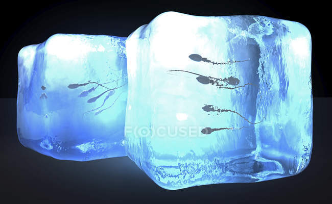 Крионическое сохранение спермы, концептуальная цифровая иллюстрация . — стоковое фото