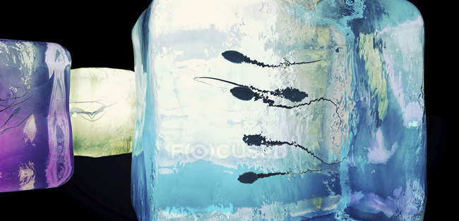 Cryonic preservation of sperm, conceptual digital illustration. — Stock Photo