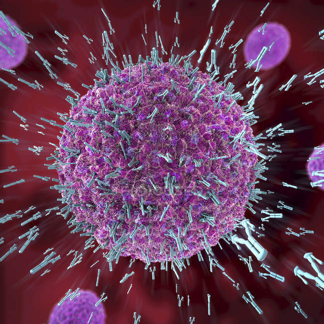 Illustration 3D d'anticorps attaquant des particules virales
. — Photo de stock