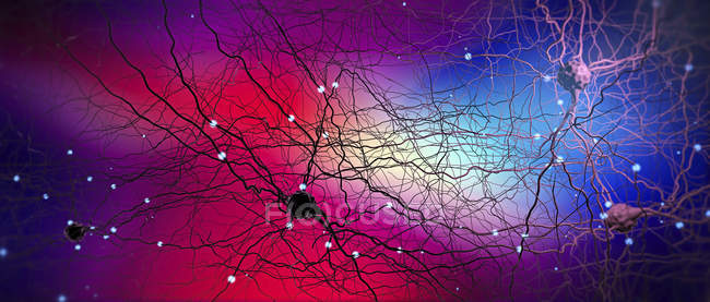 Ilustração digital colorida da rede neural do sistema nervoso no cérebro humano . — Fotografia de Stock