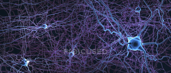 Estructura abstracta de la red neuronal sobre fondo oscuro, ilustración digital . - foto de stock