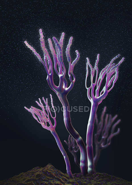 Abstrato fungos liberando esporos alérgicos, ilustração digital 3d . — Fotografia de Stock