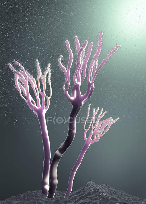 Abstract fungi releasing allergic spores, 3d digital illustration. — Stock Photo
