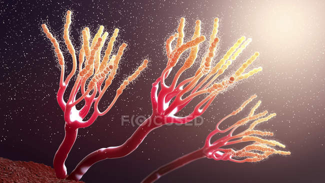 Hongos abstractos que liberan esporas alérgicas, ilustración digital 3d . - foto de stock