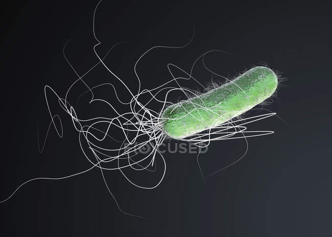 Resistente a los antibióticos Pseudomonas aeruginosa bacteriana, ilustración digital 3d.. - foto de stock