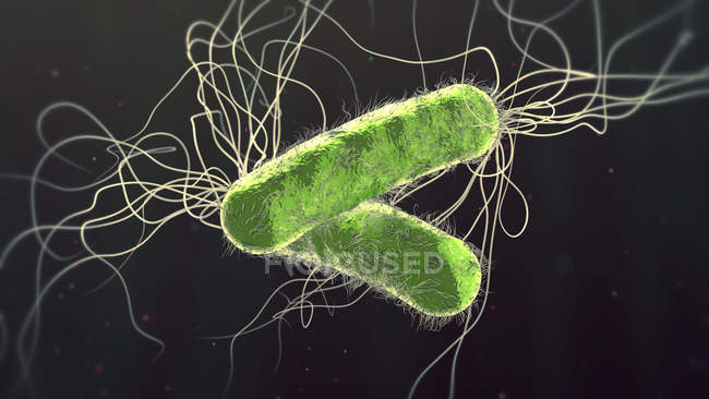 Antibióticos resistentes a las bacterias Pseudomonas aeruginosa, ilustración digital 3d.. - foto de stock