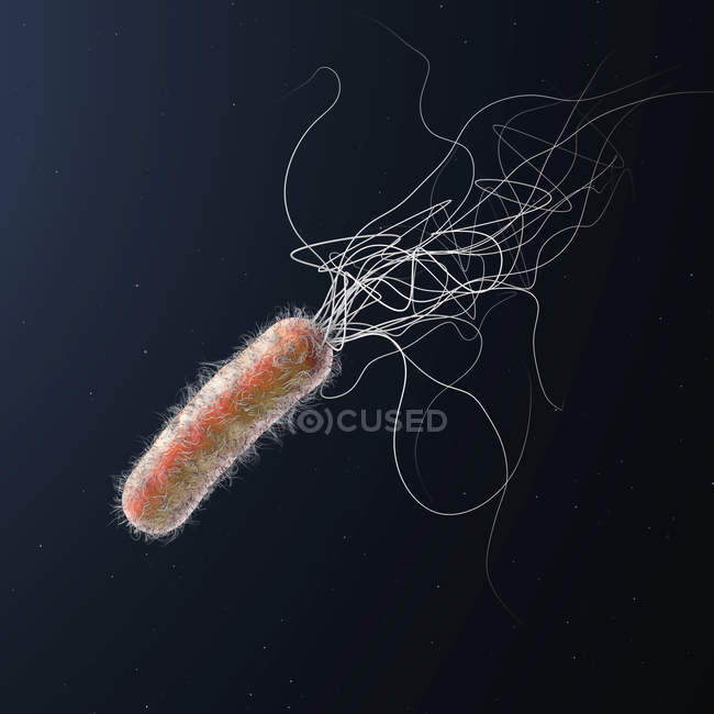 Resistente a los antibióticos Pseudomonas aeruginosa bacteriana, ilustración digital 3d.. - foto de stock