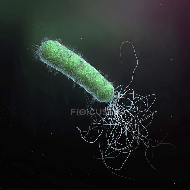 Antibiotico resistente Pseudomonas aeruginosa batterio, illustrazione digitale 3d. — Foto stock