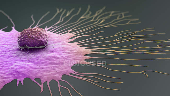Migrazione delle cellule tumorali della mammella, illustrazione digitale 3d . — Foto stock