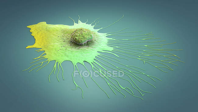 Cellule migratrice du cancer du sein, illustration numérique 3D . — Photo de stock