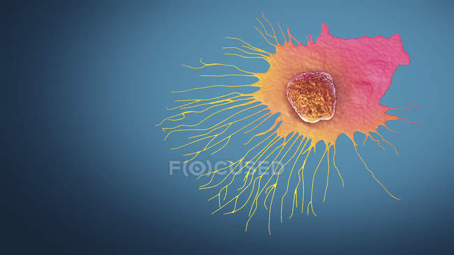 Migración de células de cáncer de mama, ilustración 3D digital . - foto de stock