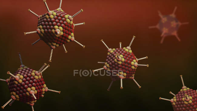 Partículas de adenovirus marrón, ilustración 3D digital coloreada
. - foto de stock