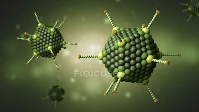 Partículas verdes del adenovirus, ilustración digital coloreada del 3d . - foto de stock