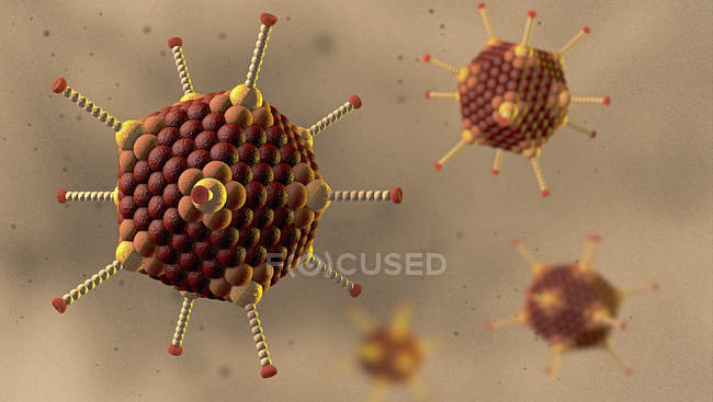 Partículas de adenovirus marrón, ilustración 3D digital coloreada . - foto de stock