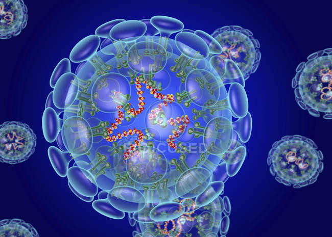 Digitale Illustration der Coronavirus-Struktur, Viren, die Atemwegsinfektionen verursachen, verbunden mit Erkältung, Lungenentzündung und schwerem akuten Atemwegssyndrom. — Stockfoto