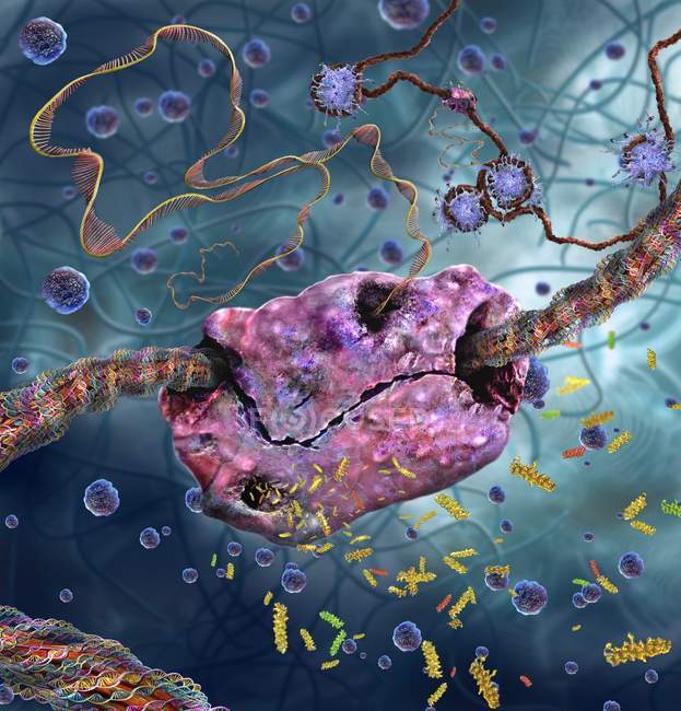 Абстрактная компьютерная иллюстрация транскрипции ДНК РНК-полимеразы в мРНК-мессенджер . — стоковое фото