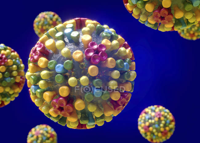Estructura del virus de la lengua azul, ilustración digital
. - foto de stock