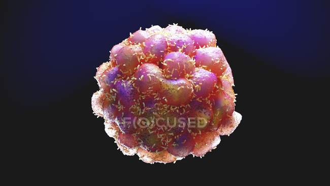 Комп'ютерна ілюстрація поділу ракових пухлинних клітин . — стокове фото