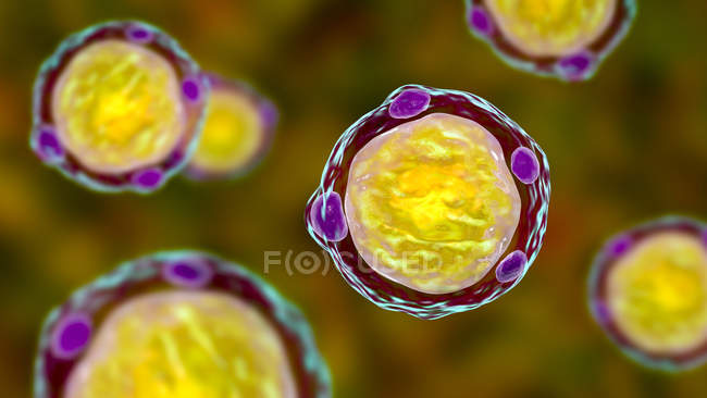Illustration informatique 3d des parasites du blastocystis hominis, agents responsables de l'infection diarrhéique. — Photo de stock