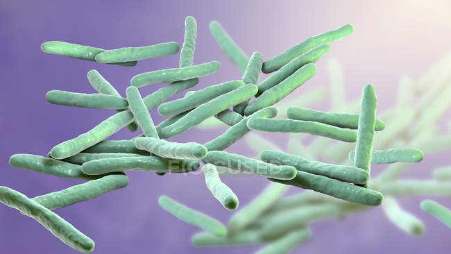 Digital illustration of Mycobacterium leprae gram-positive rod-shaped bacteria, causative agent of disease leprosy. — Stock Photo