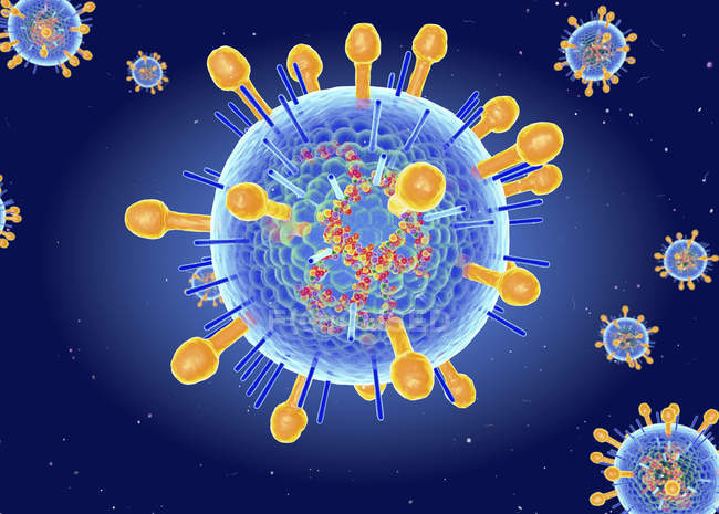 Structure du virus Hendra, illustration numérique . — Photo de stock