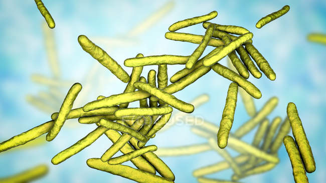 Ilustración digital de Mycobacterium leprae bacterias gram-positivas en forma de barra, agente causal de la lepra enfermedad . - foto de stock