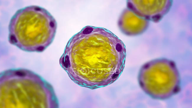 Illustration numérique de blastocystis hominis parasites, agents responsables d'infections diarrhéiques. — Photo de stock
