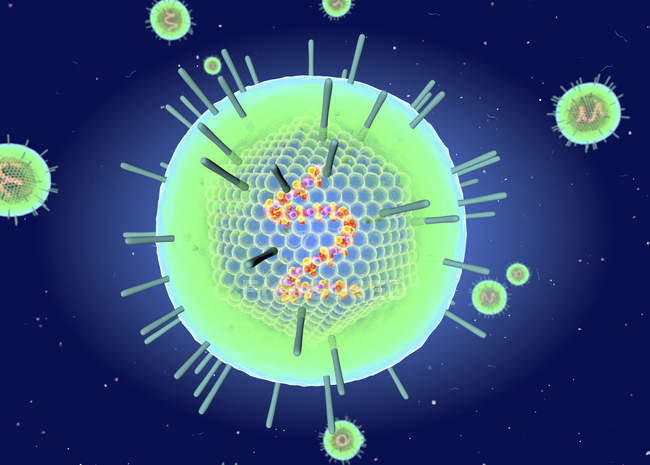 Вирусная структура Эпштейна Барра, цифровая иллюстрация
. — стоковое фото