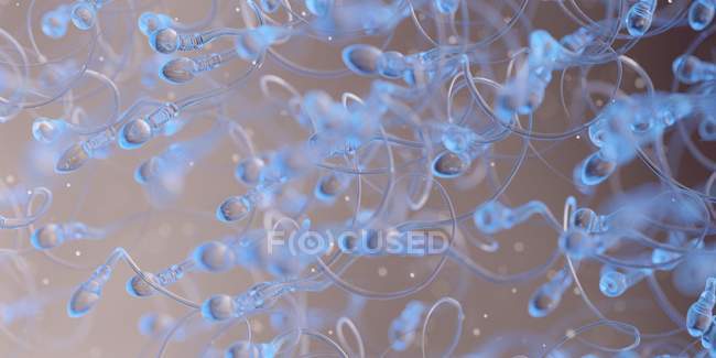 Human sperm cells, abstract computer illustration. — Stock Photo