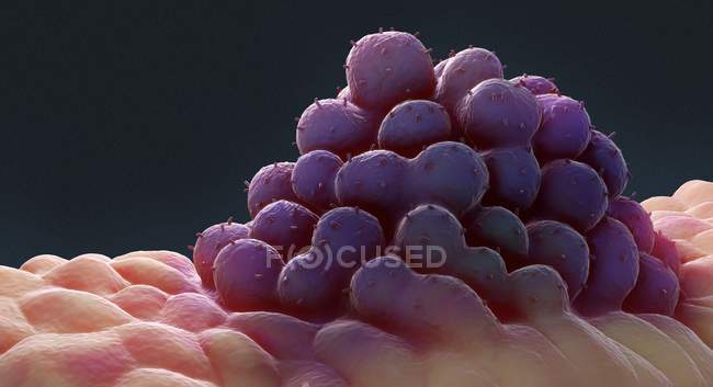 Цифрово згенерована ілюстрація кластера абстрактних ракових клітин. — стокове фото