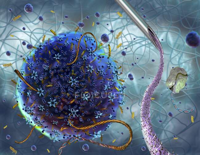 Engenharia genética, ilustração. Ácido pequeno-ribonucleico sintético (ARN) a ser injectado (ponta da agulha no canto superior direito) no citoplasma celular como parte de um processo de engenharia genética — Fotografia de Stock