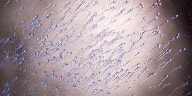 Células humanas de esperma, ilustración abstracta de ordenador. - foto de stock