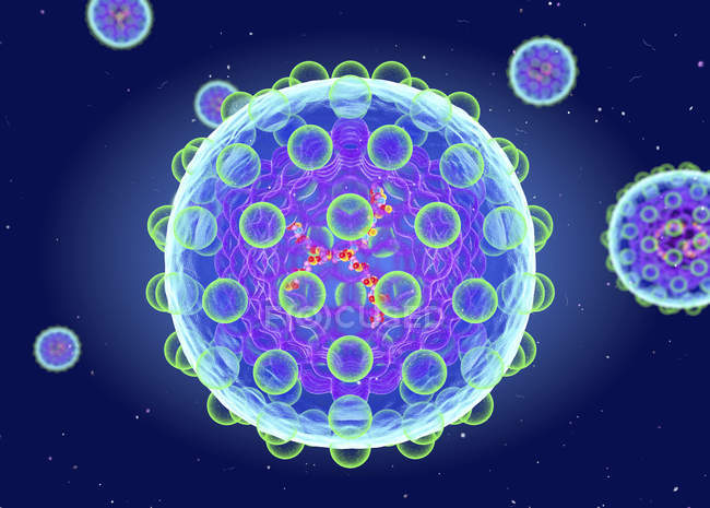 Estrutura do vírus da hepatite C, ilustração digital . — Fotografia de Stock