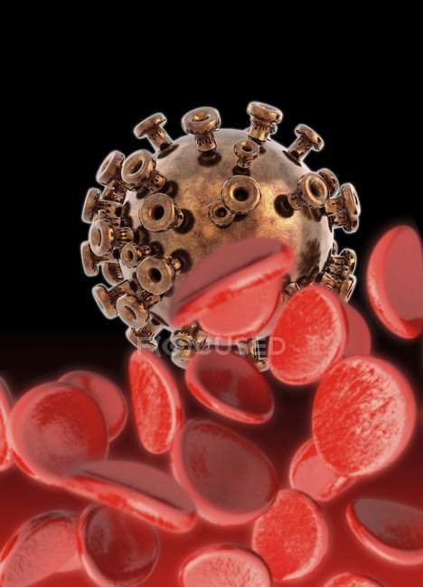 Virus de la inmunodeficiencia humana del VIH en el torrente sanguíneo, ilustración digital - foto de stock
