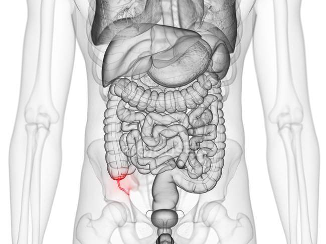 Figura maschile astratta che mostra appendice colorata, illustrazione al computer . — Foto stock
