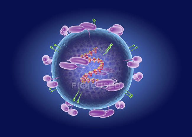 Вірусні частинки енцефаліту, цифрові ілюстрації. — стокове фото