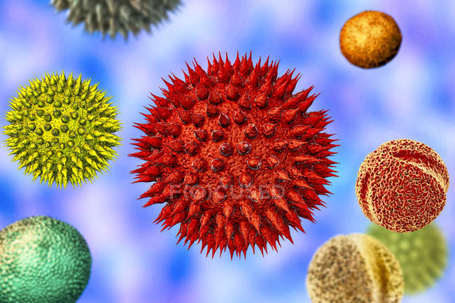 Los granos de polen abstracto de varias plantas difieren en tamaño y forma, ilustración informática.. - foto de stock