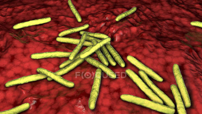 Цифровая иллюстрация Mycobacterium leprae gram-positive rod-shaped бактерий, возбудителя болезни проказы
. — стоковое фото
