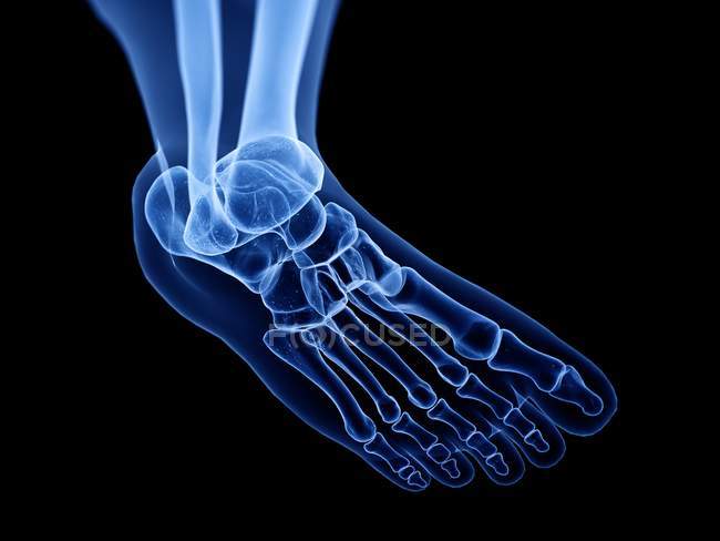 Ilustração de raio-X digital de ossos do pé humano . — Fotografia de Stock