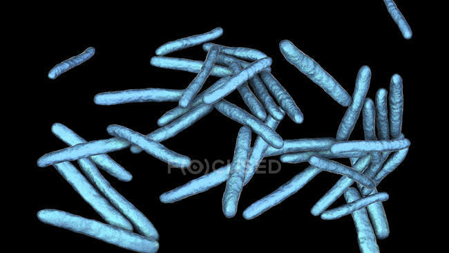 Цифрова ілюстрація Mycobacterium leprae грам-позитивних бактерій у формі стрижня, збудником прокази хвороб . — стокове фото