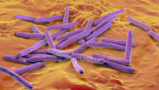 Цифрова ілюстрація Mycobacterium leprae грам-позитивних род-подібних бактерій, що є причиною прокази.. — стокове фото