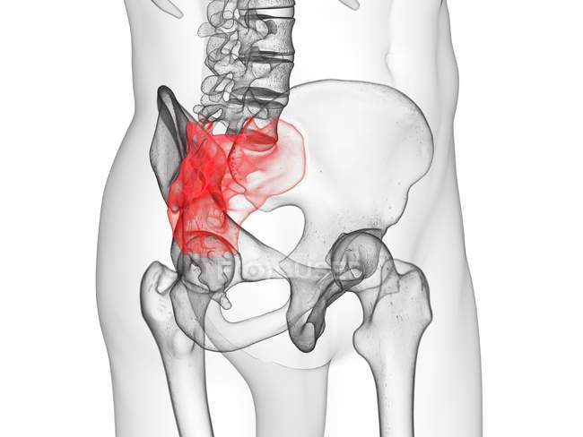 Abstract male figure showing colored sacrum, computer illustration. — Stock Photo