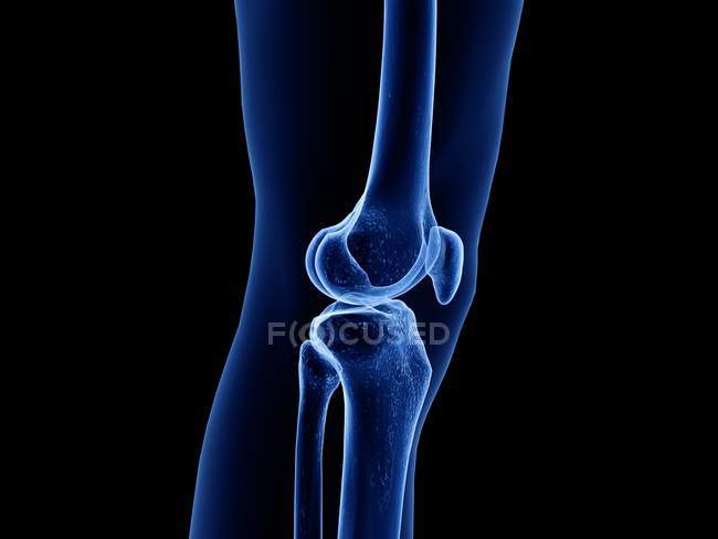 Transparent human body silhouette with visible healthy knee joint, computer illustration. — Stock Photo