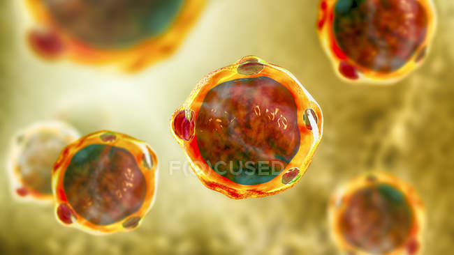 3D computer illustration of blastocystis hominis parasites, causative agents of diarrheal infection. — Stock Photo
